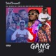 Gang Shxt feat Mr Dutch Kel P Yung Og Ello Hugo Flow Black Angel RAF DON Single