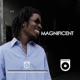 Magnificent 4 Of 5