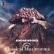 Classical Mushrooms Single