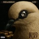 Bird Play EP