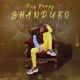 Shanduko EP