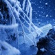 Coldness Single