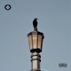 Goddamn Birds VIP Single