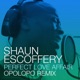 Perfect Love Affair Opolopo Remix Single