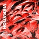 VIBRATION feat 紅蓮 AKANA Single