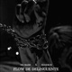 FLOW DE DELINCUENTE feat K1dd1ce Single