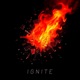 Ignite Single
