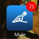 Mule feat Kiyo Single