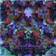 Same Shit But Different 10 Year Anniversary 24 Remix EP