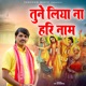 Tune Liya Na Hari Ka Naam Single