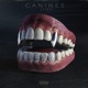 Canines Single