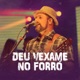 Deu Vexame no Forró Single