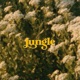 Jungle Single