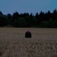 A bis Z Single