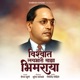 Vishwat Lay Bhari Majha Bhimraya Single