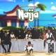 Naija feat TrapboiZulu Single