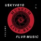 Flvr Music Vol 1 5 EP