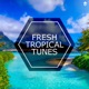 Fresh Tropical Tunes feat Tyler Sjöström Bertrand Lacoste Alex Naz