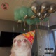 Brain Washed Single