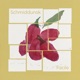 Facile Single