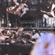 Falling Down feat Kevin Stallone Single