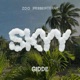 Skyy Radio Edit Single
