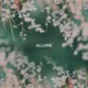 Allure EP