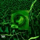 Ninety Nine feat GXNE MANE Single