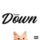 Down Single