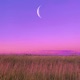 bad days will pass Single