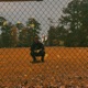 Gone Girl Single