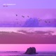 Lofi Tranquility