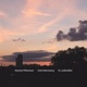 Into Harmony feat Julia Biel Single