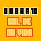 Sol De Mi Vida Single