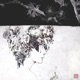Garden Walls Single