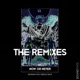 Now or Never The Remixes feat Neresa Maye Single