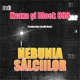 Nebunia Sălciilor feat Block 888 Single