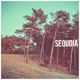 Sequoia Single
