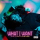What I Want Single