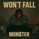 Won t Fall Single
