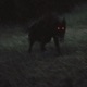 Blurry Vision Single