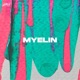 Myelin Single
