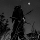 Better Off Alone feat Ghost of Shadowz Single