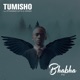 Bhabha Fly feat Mthandazo Gatya Comado Single