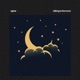 Talking To the Moon Single