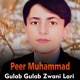 Gulab Gulab Zwani Lari