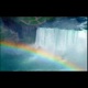 Phenomenal Get Your Rainbow on feat Shannon Conley Single