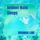 Ambient Water Sleeps Single