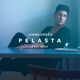 Pelasta feat Neea Single