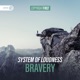 Bravery Single